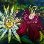 Passion Flower jao - 18 x 18 in. mounted on canvas (SOLD)