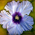 Hibiscus 16 x 16 in. available, mounted, unmounted, or pillowtop, use contact form for pricing